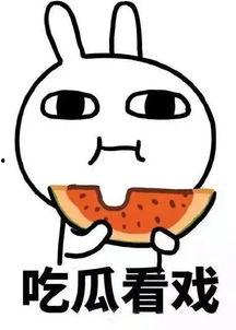 娱乐吃瓜酱小麒麟,小麒麟带你领略娱乐吃瓜界的风云变幻